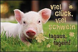 Viel Glück Schwein Mini Doppelkarte Glückwunschkarten online kaufen