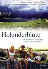 Holunderblüte DVD