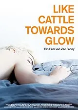 Like cattle towards glow DVD