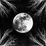 Corpus Christii Vinyl Pale Moon (Lp)