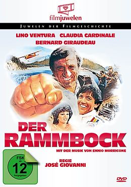 Der Rammbock DVD