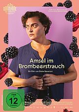 Amsel im Brombeerstrauch DVD