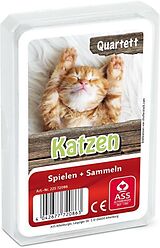 Tier-Quartett - Katzen Spiel