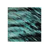Like Elephants Vinyl Better Days (black Vinyl)