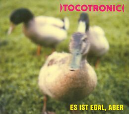 Tocotronic CD Es Ist Egal, Aber