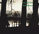 Cluster CD Sowiesoso