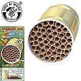 Wildbienen-Dose Spiel