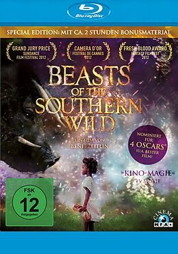Beasts of the Southern Wild Blu-ray
