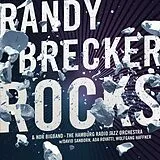 Randy/Sanborn,D./Haffn Brecker Vinyl Rocks (2lp 180g) (Vinyl)