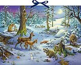 Kalender Sound-Adventskalender  Hört ihr die Tiere im Winterwald? von 