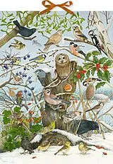 Kalender (Kal) Sound-Adventskalender Unsere Vögel im Winter von