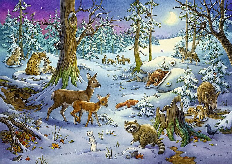 Sticker-Adventskalender  Tiere im Winterwald
