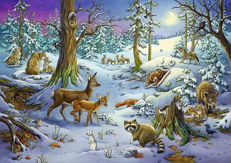 Sticker-Adventskalender  Tiere im Winterwald