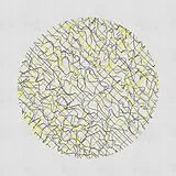 Rival Consoles Vinyl Sonne (Vinyl)
