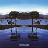 Dickinson,Bruce LP (analog) Skunkworks
