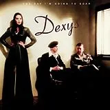Dexys LP (analog) One Day I'm Going To Soar (2lp)