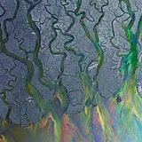 Alt-j LP (analog) An Awesome Wave