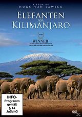 Elefanten am Kilimanjaro DVD