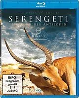 Serengeti - Im Reich Der Antilopen Blu-ray
