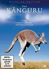 Das Känguru DVD