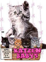Katzenbabys DVD