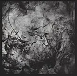 Black Lung Vinyl See The Enemy (Vinyl)