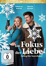 Im Fokus der Liebe - Falling Like Snowflakes DVD