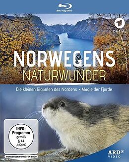 Norwegens Naturwunder: Die kleinen Giganten des Nordens & Magie der Fjorde Blu-ray