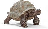 Schleich 14824 - Wild Life, Riesenschildkröte, Tierfigur Spiel
