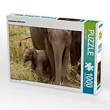 CALVENDO Puzzle Asiatische Elefanten | 1000 Teile Lege-Größe 64x48cm Foto-Puzzle für glückliche Stunden Spiel