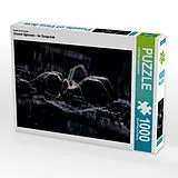 CALVENDO Puzzle Ein Motiv aus dem Kalender Unsere Spinnen - im Gespräch | 1000 Teile Lege-Größe 64x48cm Foto-Puzzle für glückliche Stunden Spiel