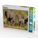 CALVENDO Puzzle Elefantenfamilie | 1000 Teile Lege-Größe 64x48cm Foto-Puzzle für glückliche Stunden Spiel