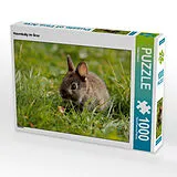 CALVENDO Puzzle Hasenbaby im Gras | 1000 Teile Lege-Größe 64x48cm Foto-Puzzle für glückliche Stunden Spiel