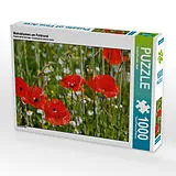 CALVENDO Puzzle Mohnblumen am Feldrand | 1000 Teile Lege-Größe 64x48cm Foto-Puzzle für glückliche Stunden Spiel