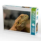 CALVENDO Puzzle Bartagame | 1000 Teile Lege-Größe 64x48cm Foto-Puzzle für glückliche Stunden Spiel