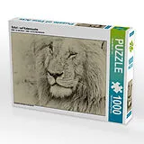 CALVENDO Puzzle Safari - auf Katzensuche | 1000 Teile Lege-Größe 64x48cm Foto-Puzzle für glückliche Stunden Spiel