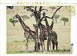 CALVENDO Puzzle Giraffen in der Masai Mara | 1000 Teile Lege-Größe 64x48cm Foto-Puzzle für glückliche Stunden Spiel