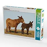 CALVENDO Puzzle Ein Motiv aus dem Kalender Zauberhafte Esel | 1000 Teile Lege-Größe 64x48cm Foto-Puzzle für glückliche Stunden Spiel