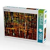 CALVENDO Puzzle Goldener Herbst 1000 Teile Puzzle quer | 1000 Teile Lege-Größe 64 × 48 cm Foto-Puzzle für glückliche Stunden Spiel