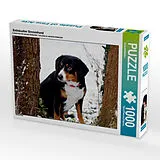 CALVENDO Puzzle Entlebucher Sennenhund | 1000 Teile Lege-Größe 64x48cm Foto-Puzzle für glückliche Stunden Spiel