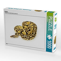 Python (Puzzle) Spiel