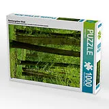 CALVENDO Puzzle Sommergrüner Wald | 1000 Teile Lege-Größe 64x48cm Foto-Puzzle für glückliche Stunden Spiel