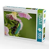 CALVENDO Puzzle Rosenkäfer im Blütenrausch | 1000 Teile Lege-Größe 64x48cm Foto-Puzzle für glückliche Stunden Spiel