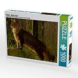 CALVENDO Puzzle Katzen - Maine Coon | 1000 Teile Lege-Größe 64x48cm Foto-Puzzle für glückliche Stunden Spiel