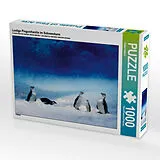 CALVENDO Puzzle Lustige Pinguinfamilie im Schneesturm | 1000 Teile Lege-Größe 64x48cm Foto-Puzzle für glückliche Stunden Spiel
