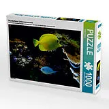 CALVENDO Puzzle Wunderbare Unterwasserwelt | 1000 Teile Lege-Größe 64x48cm Foto-Puzzle für glückliche Stunden Spiel