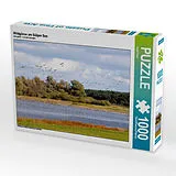 CALVENDO Puzzle Wildgänse am Gülper See | 1000 Teile Lege-Größe 64x48cm Foto-Puzzle für glückliche Stunden Spiel