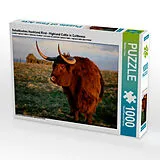 CALVENDO Puzzle Schottisches Hochland Rind - Highland Cattle in Caithness 1000 Teile Puzzle quer | 1000 Teile Lege-Größe 64 × 48 cm Foto-Puzzle für glückliche Stunden Spiel