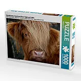 CALVENDO Puzzle Schottisches Hochland Rind, Highland Cattle 1000 Teile Puzzle quer | 1000 Teile Lege-Größe 64 × 48 cm Foto-Puzzle für glückliche Stunden Spiel