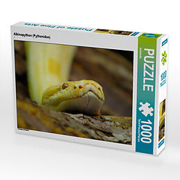 CALVENDO Puzzle „Wellensittich-Küken“ – 1000 Teile, 64 X 48 Cm, Foto-Puzzle Von Björn Bergmann